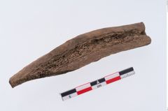 Foto von Beinmessergriffplatte (NHMW-PRAE-002296)